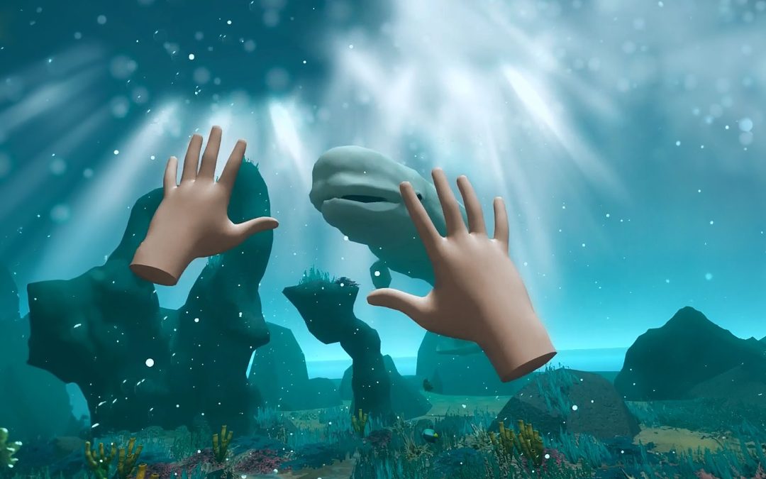 Lagomar VR