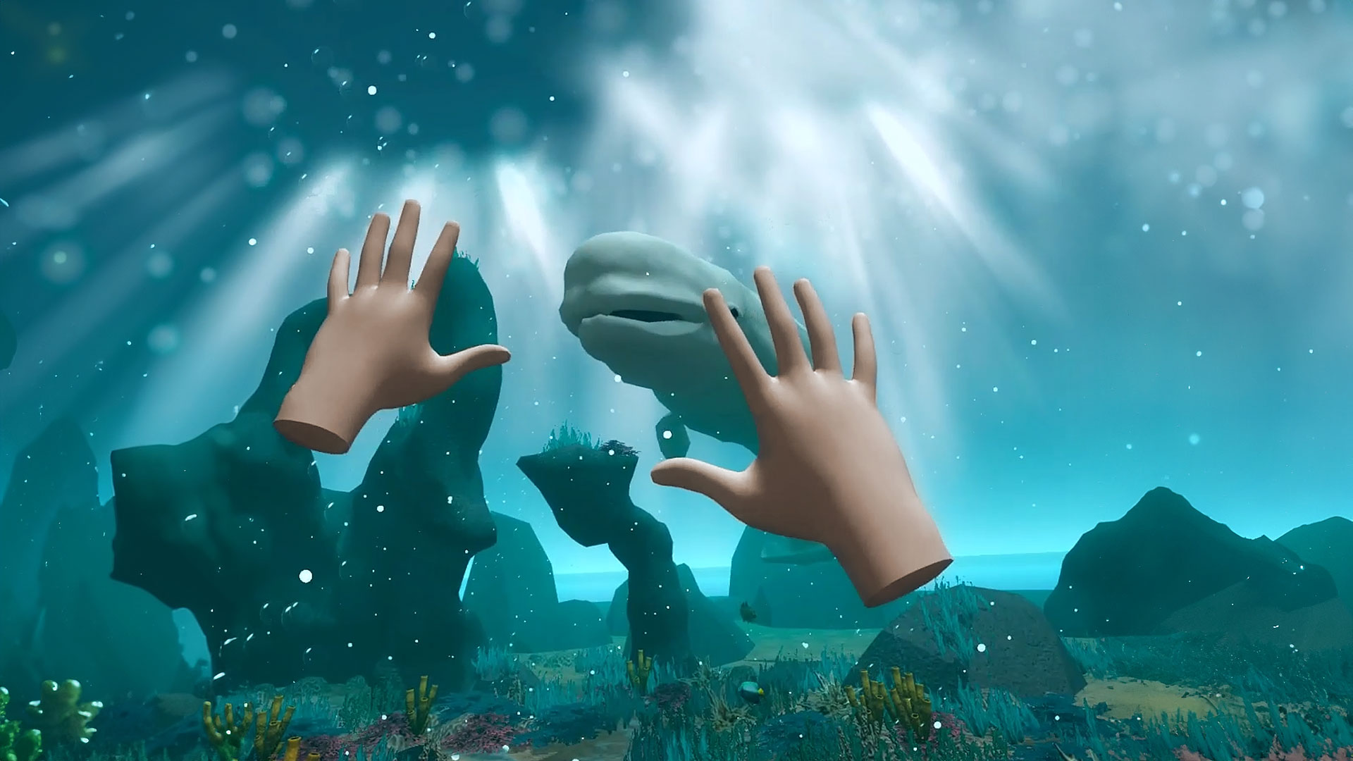 Lagomar VR